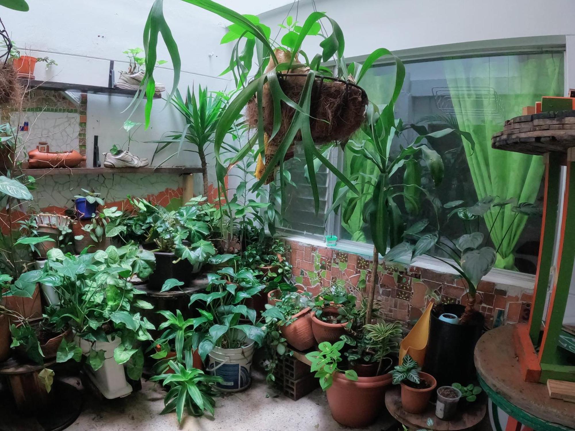 Hostal Rich Medellin Luaran gambar
